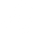 Icon Schwimmring