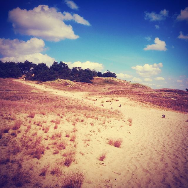 Sanddüne Klein Schmölen Vorne